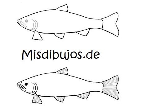 como dibujar peces 2