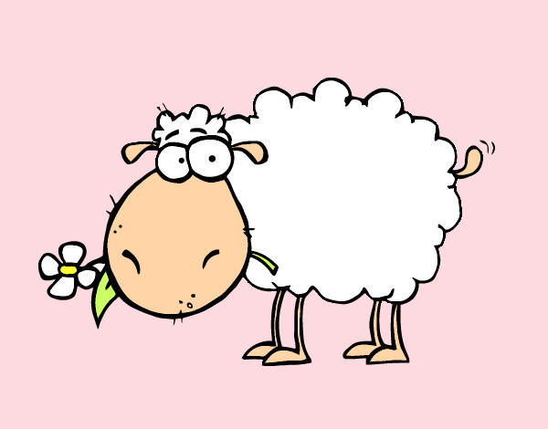dibujos de ovejas