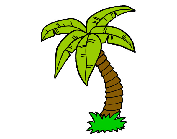 dibujos de palmeras