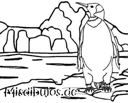 dibujos de pinguinos