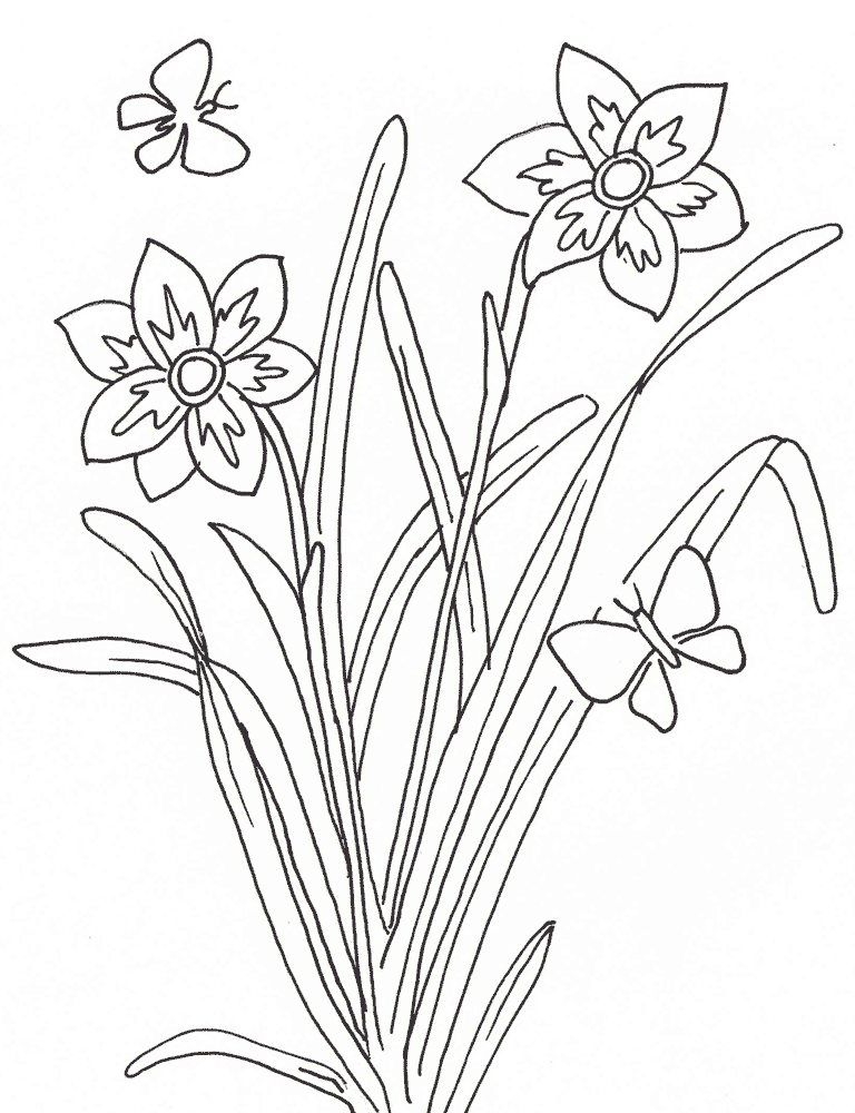 dibujos de plantas