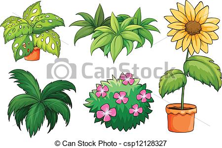 dibujos de plantas
