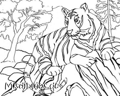 dibujos de tigres