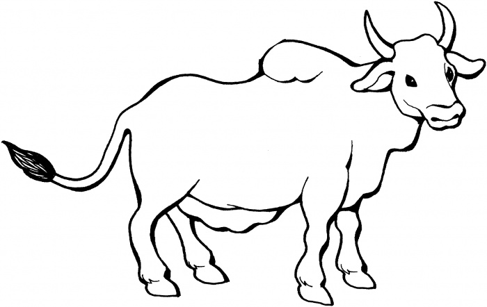 dibujos de toros